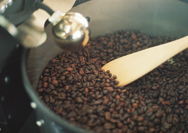 コーヒー豆の種類・豆の選び方