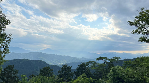 そうだ、高尾山だ